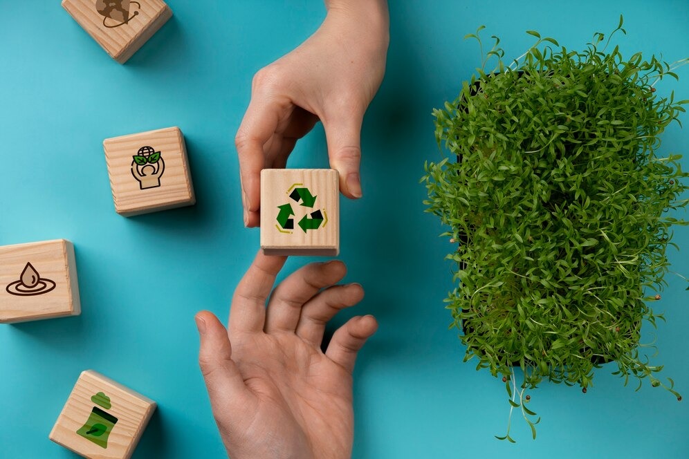 Sustainability & Circular Economy